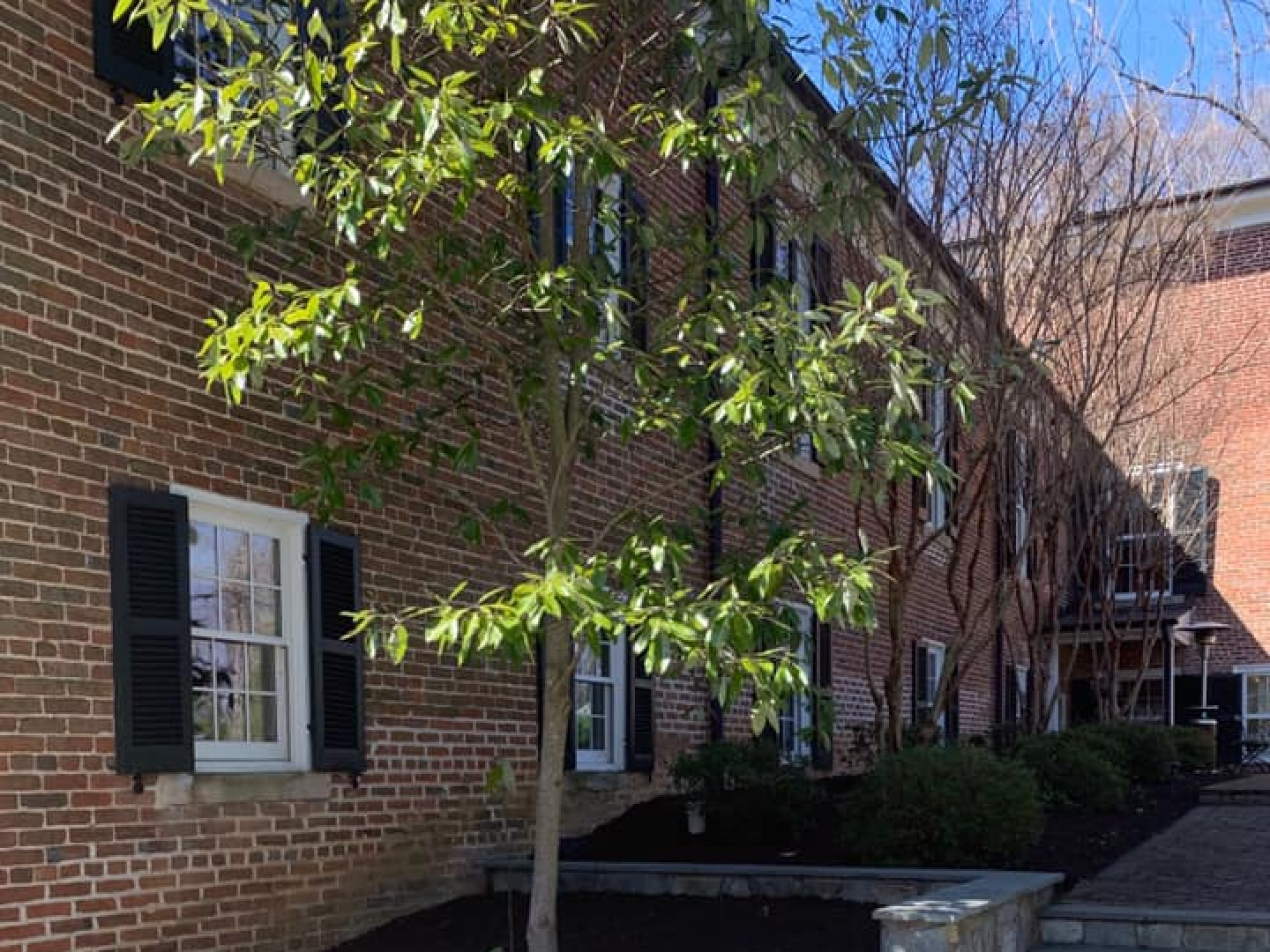 Pavers & Stamped Concrete Milford, Bowling Green & Ashland, VA B